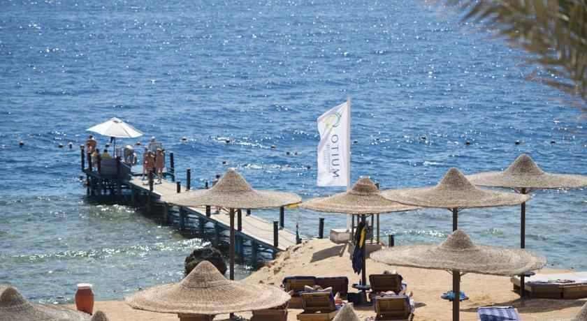 Suite At Shores Amphoras Resort シャルム・エル・シェイク エクステリア 写真